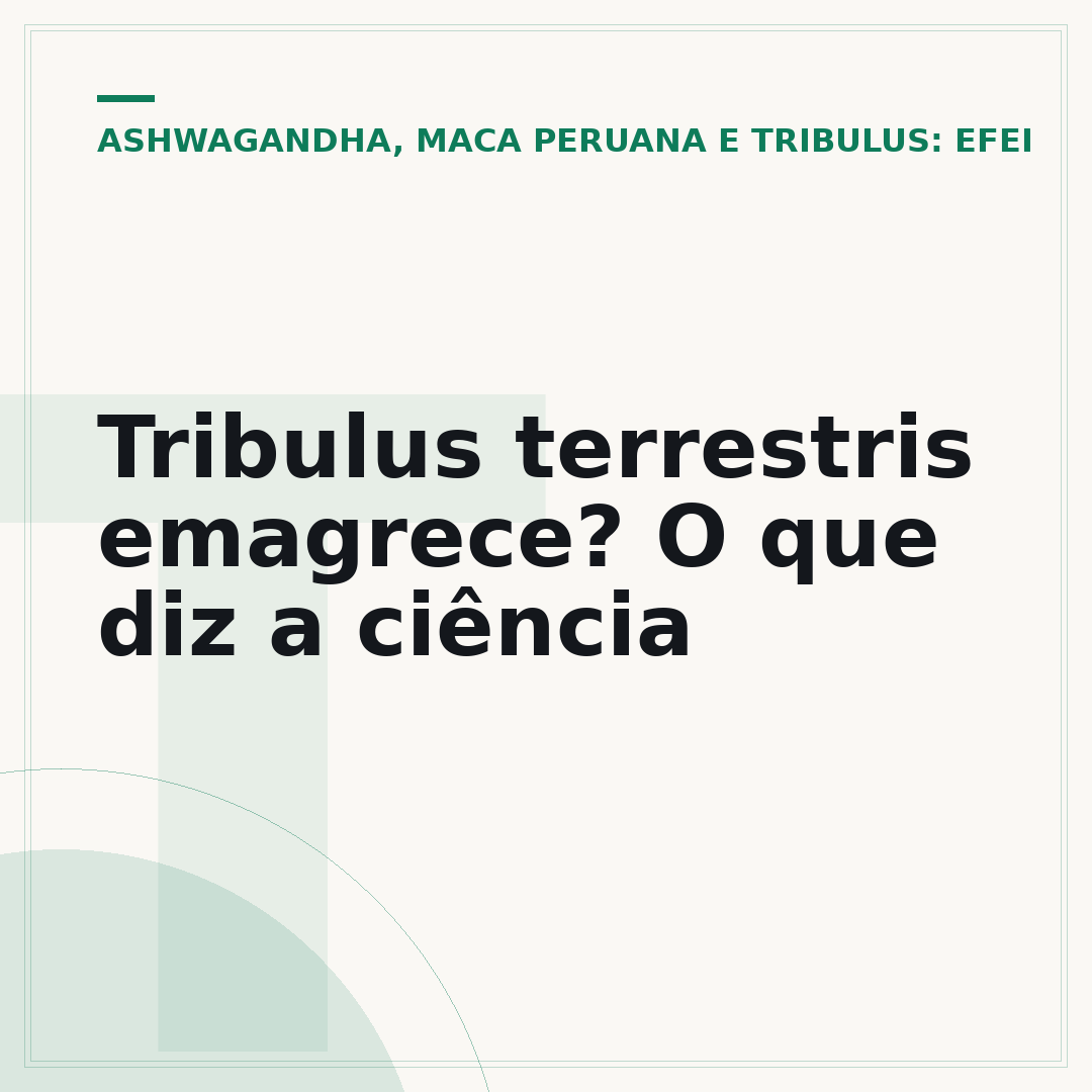 Tribulus terrestris emagrece? O que diz a ciência