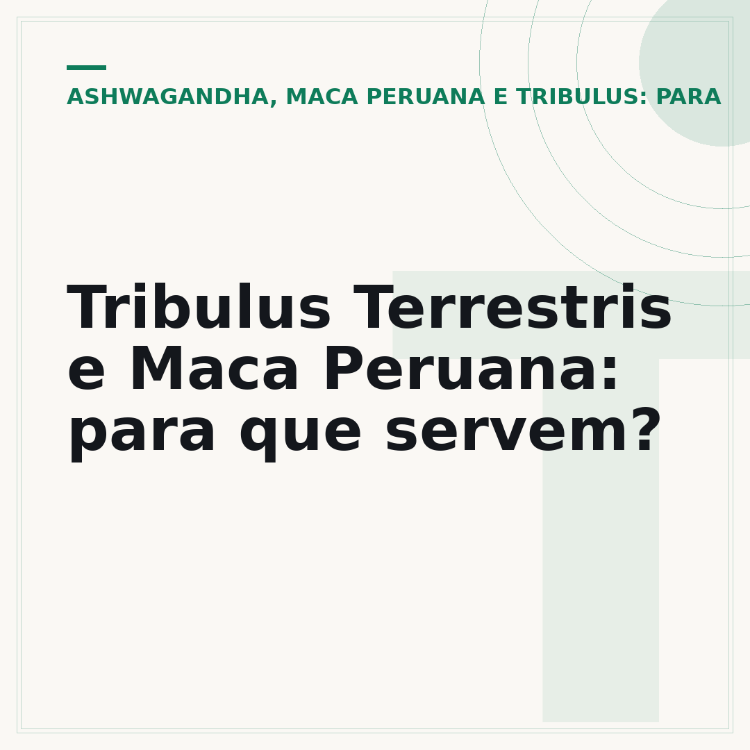 Tribulus Terrestris e Maca Peruana: para que servem?