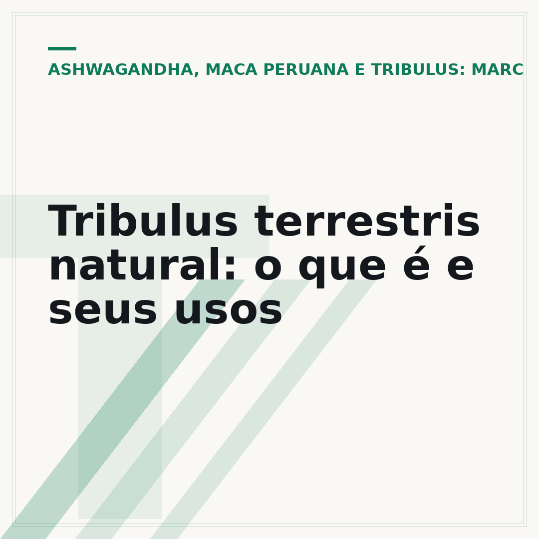 Tribulus terrestris natural: o que é e seus usos