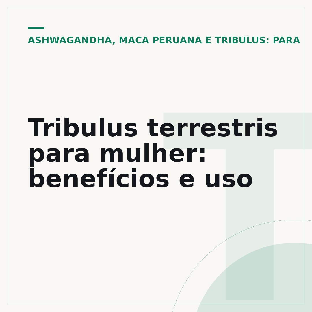 Tribulus terrestris para mulher: benefícios e uso