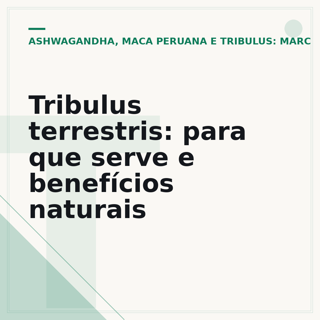 Tribulus terrestris: para que serve e benefícios naturais