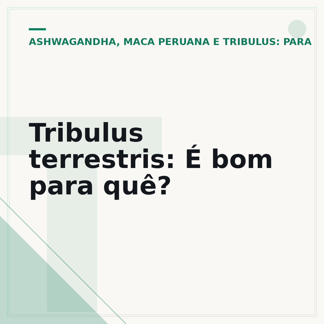Tribulus terrestris: É bom para quê?