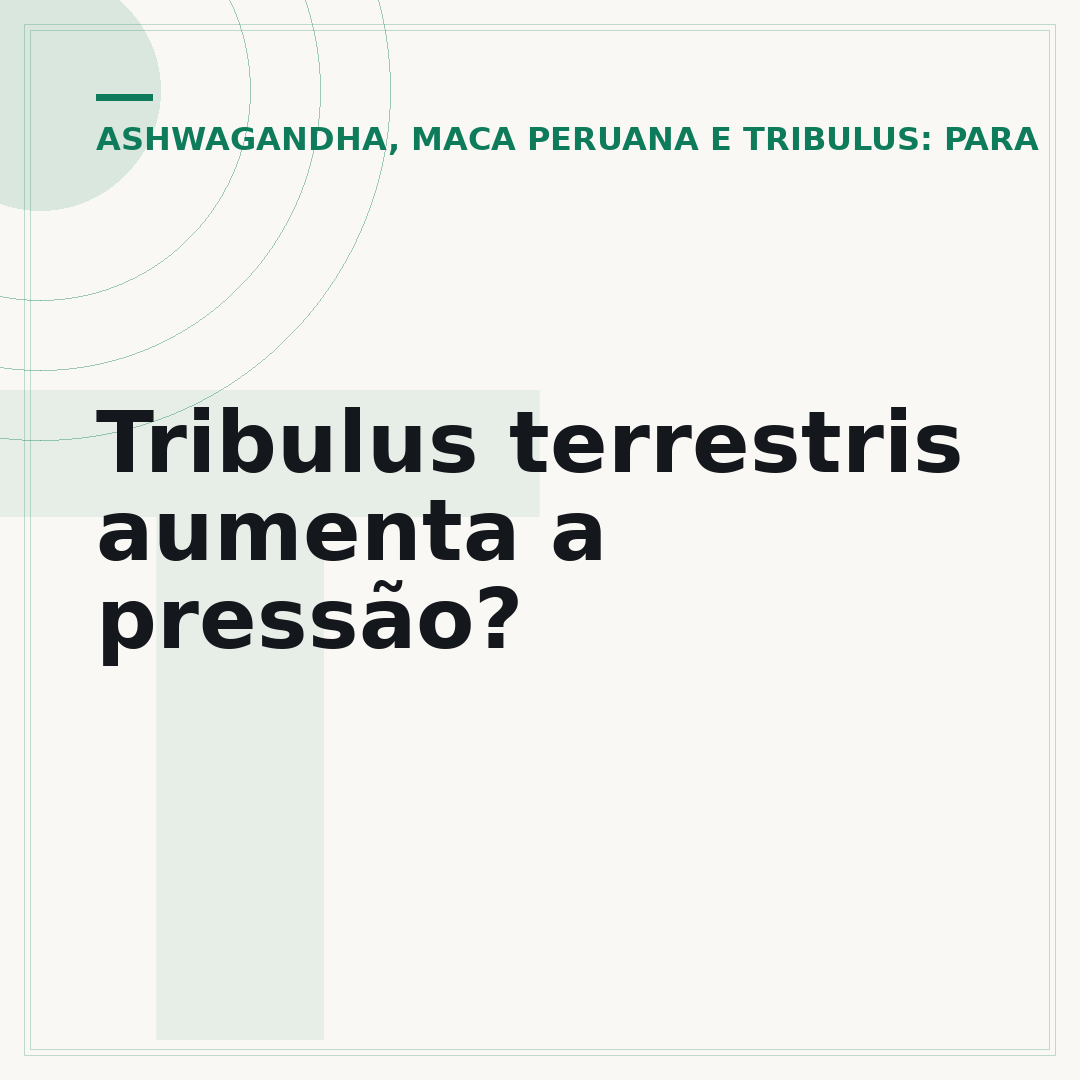 Tribulus terrestris aumenta a pressão?
