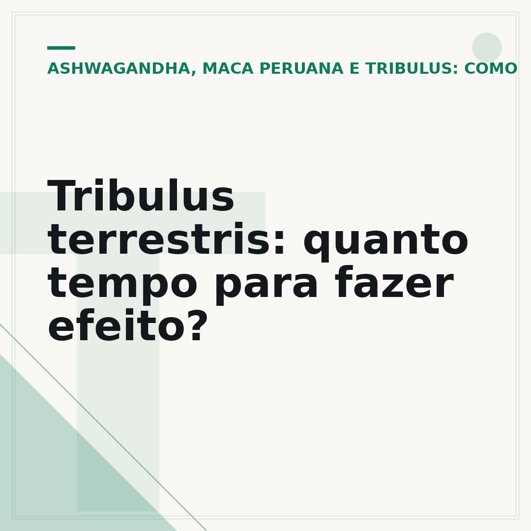 Tribulus terrestris: quanto tempo para fazer efeito?