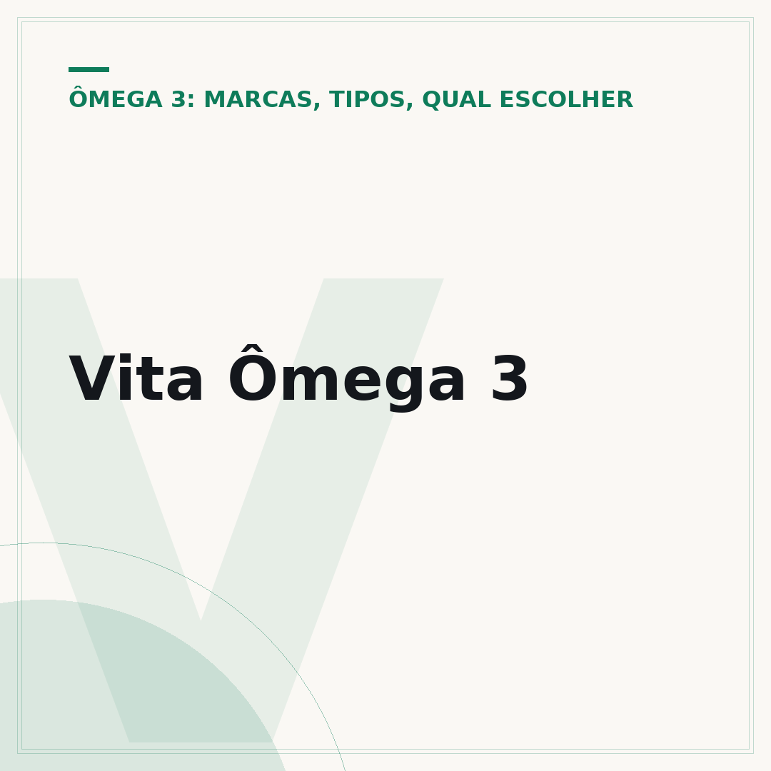 Vita Ômega 3