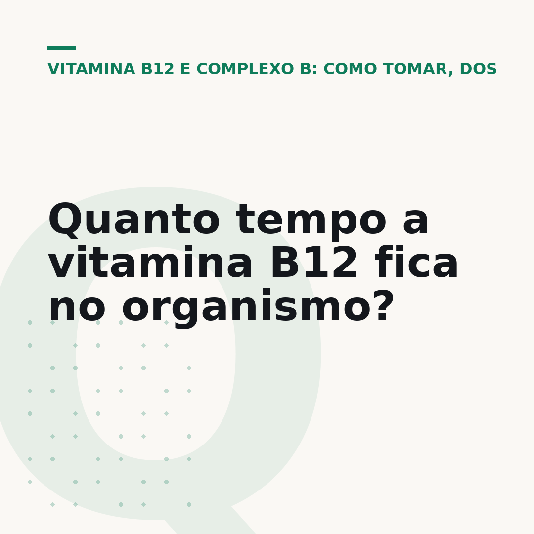 Quanto tempo a vitamina B12 fica no organismo?