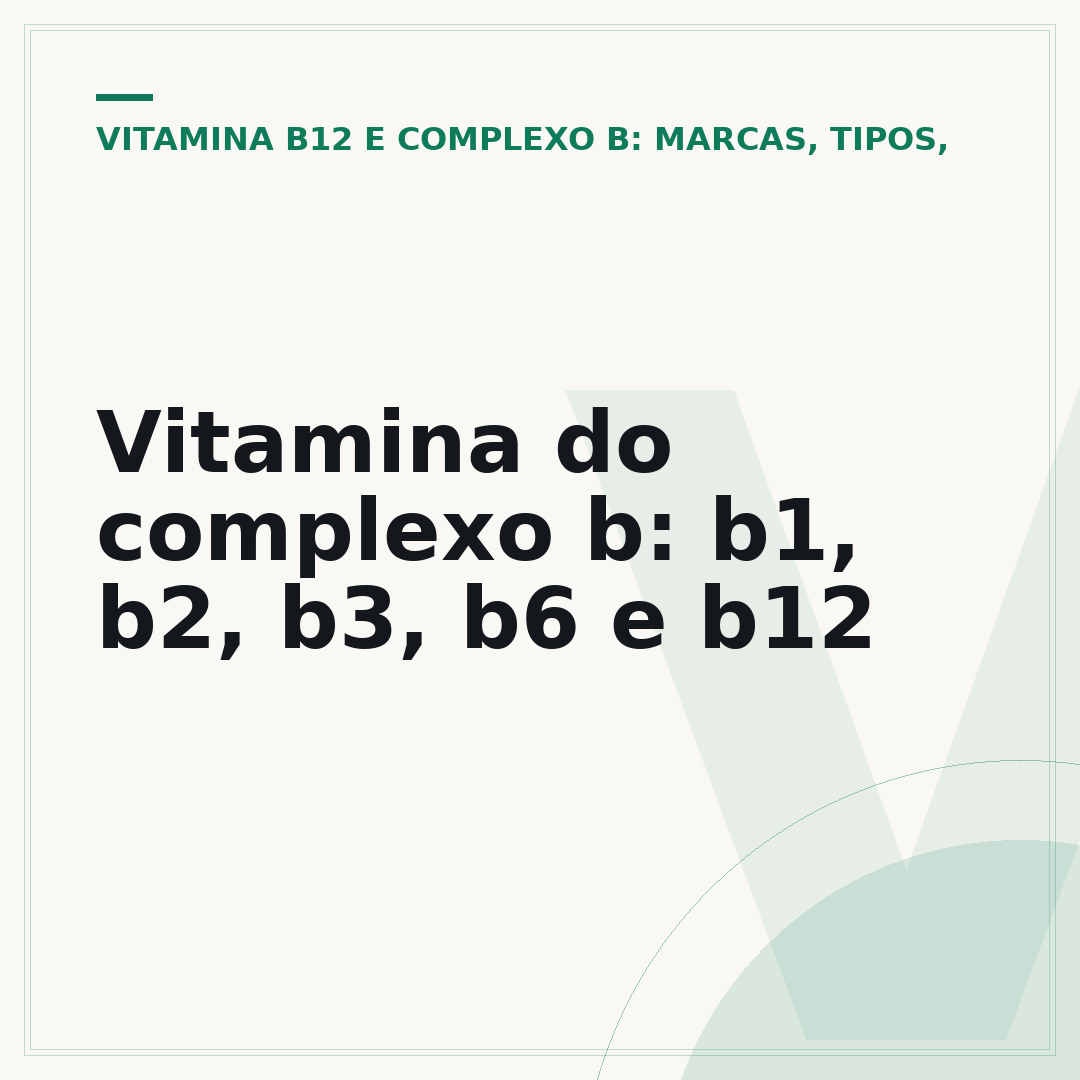 Vitamina do complexo b: b1, b2, b3, b6 e b12
