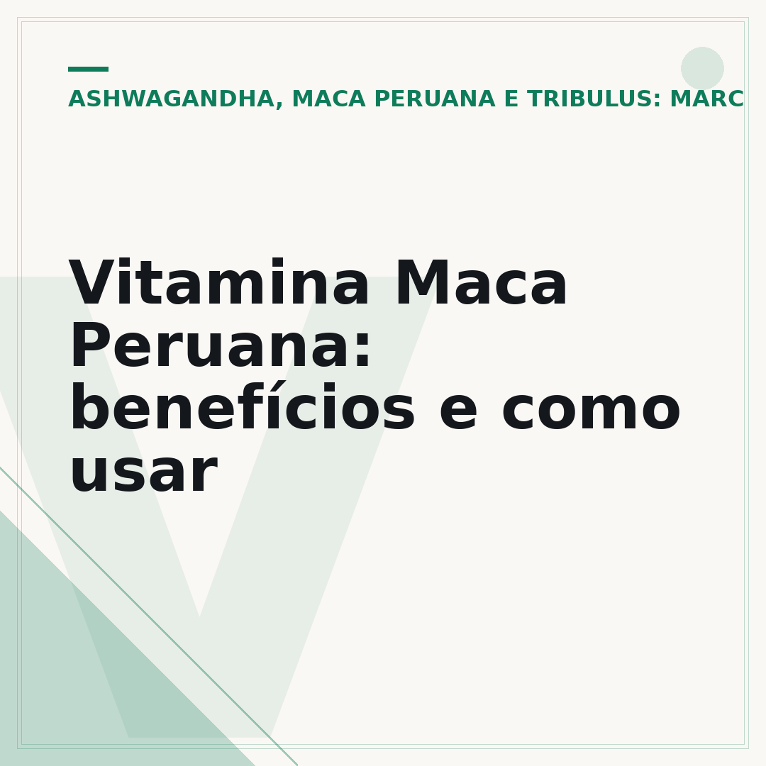 Vitamina Maca Peruana: benefícios e como usar