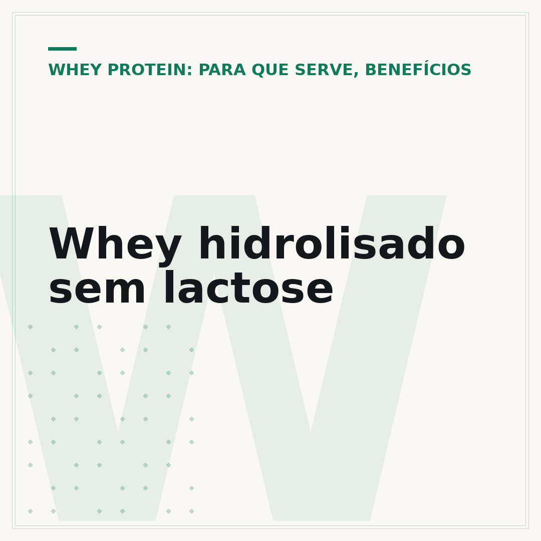 Whey hidrolisado sem lactose